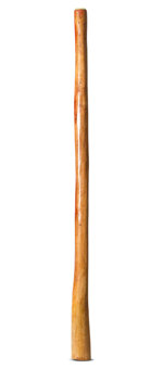 Gloss Finish Flared Didgeridoo (TW979)